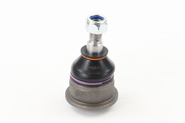 SUG1107.JPG