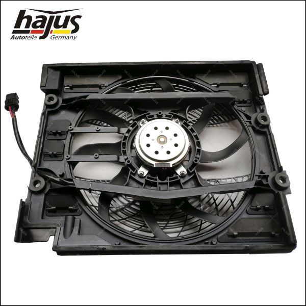 hajus Autoteile 1211601 Fan, engine cooling
