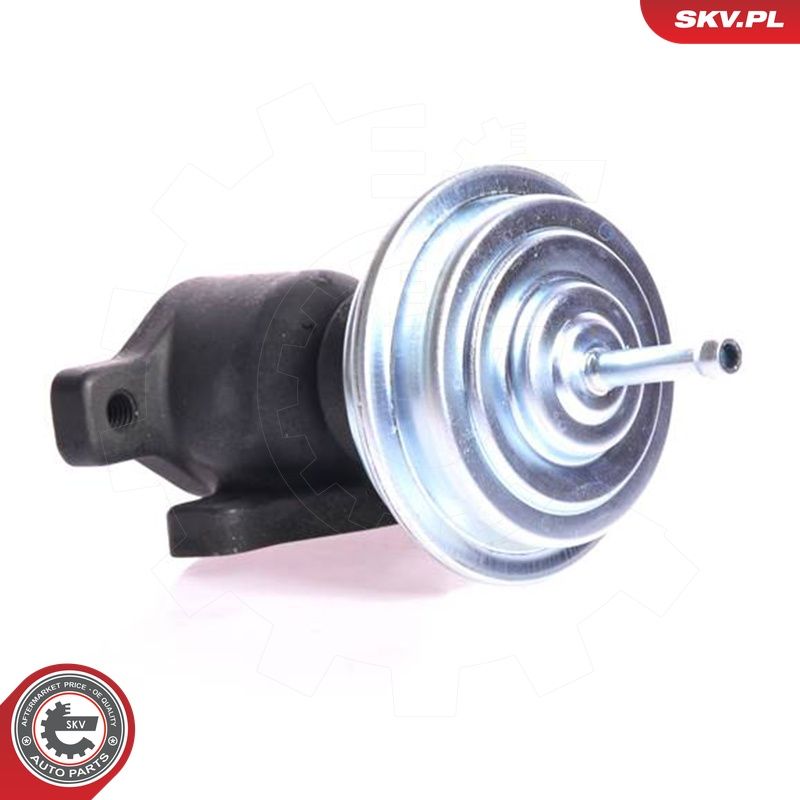 EGR-klapp, ESEN SKV 14SKV005