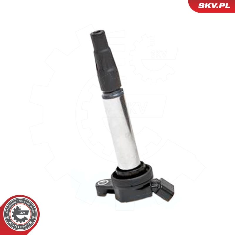 Süütepool, ESEN SKV 03SKV173