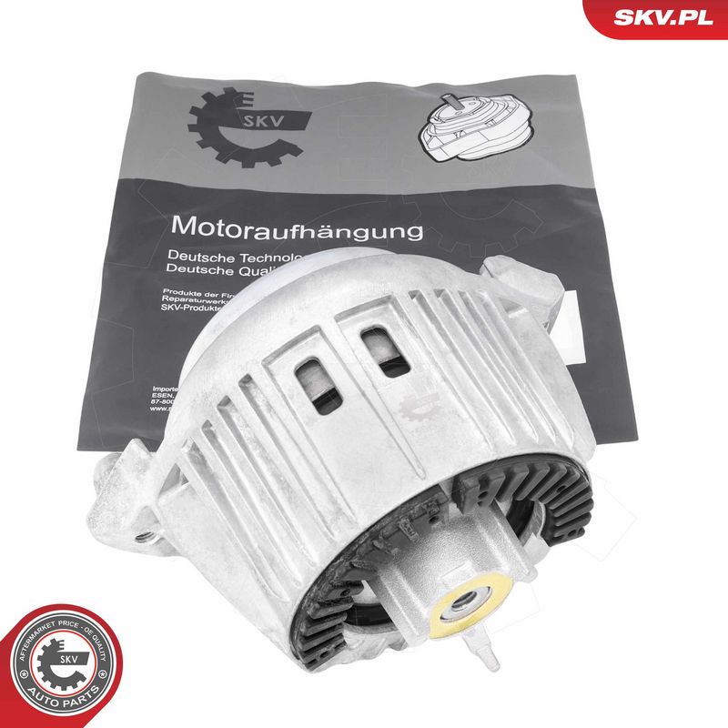 Paigutus, Mootor, ESEN SKV...