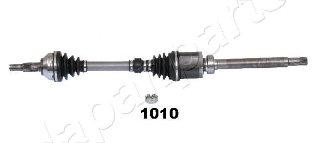 GI-1010_1.JPG