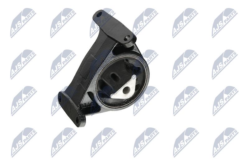 Paigutus, Mootor, NTY ZPS-CH-006