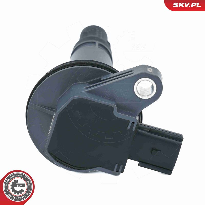 ESEN SKV 03SKV348 Ignition Coil