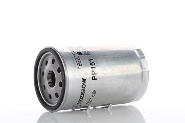 PP151.JPG