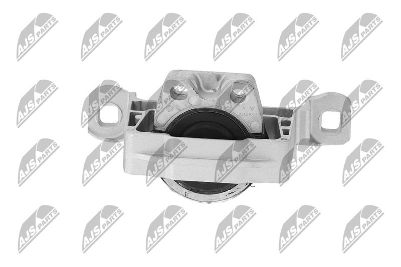 Paigutus, Mootor, NTY ZPS-FR-045