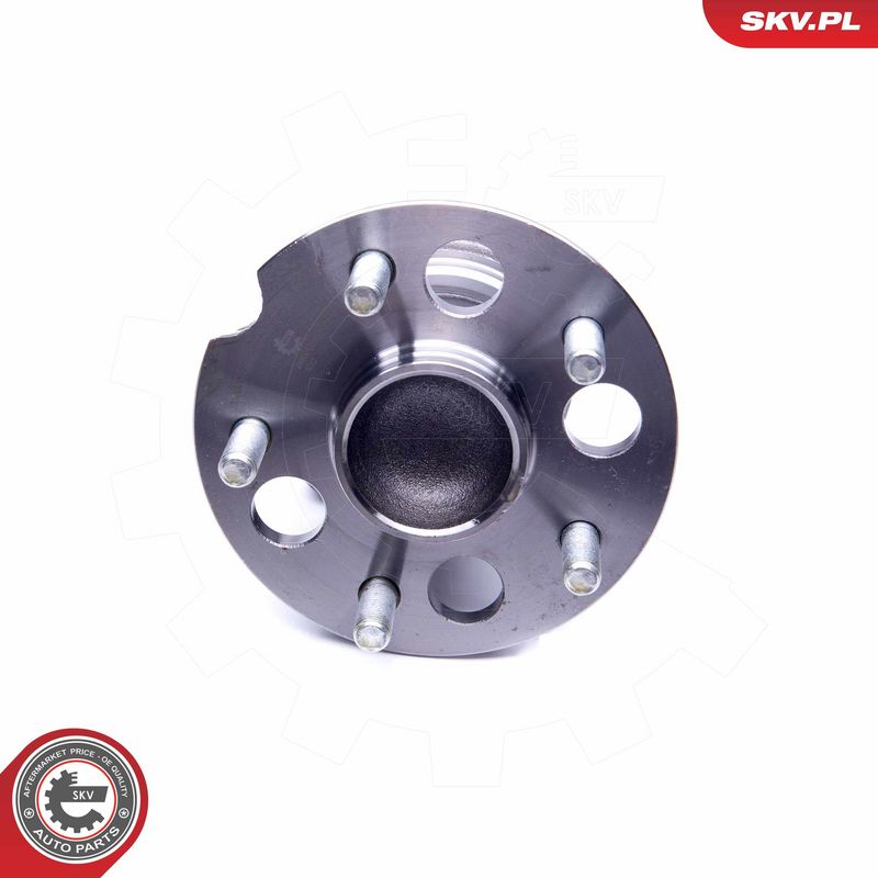 Rattalaagrikomplekt, ESEN...