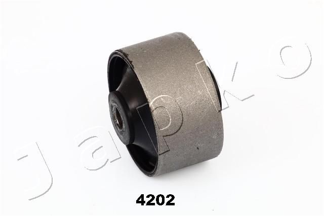 GOJ4202_1.JPG