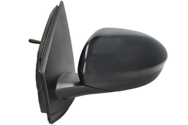 BLIC 5402-67-2460353P Exterior Mirror