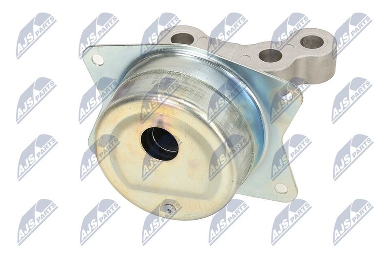 Paigutus, Mootor, NTY ZPS-PL-049