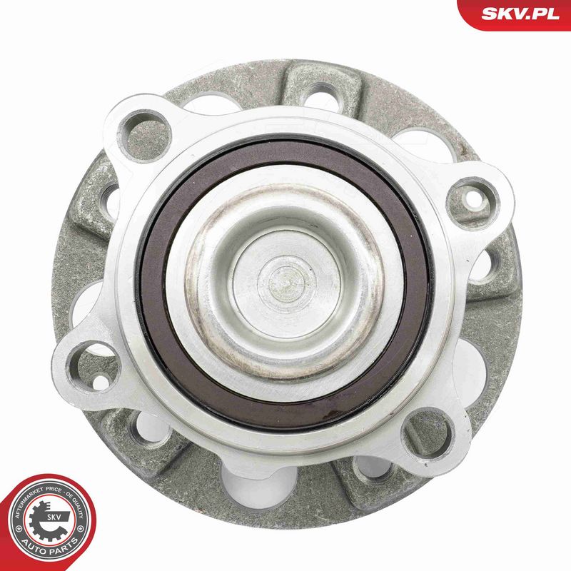 ESEN SKV 29SKV641 Wheel Bearing Kit