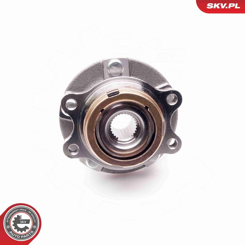 ESEN SKV 29SKV134 Wheel Bearing Kit