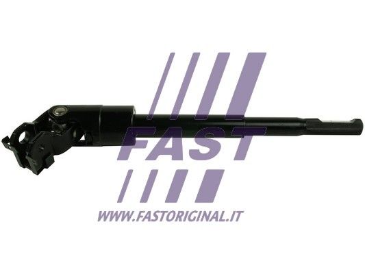 FT20187_1_1.JPG