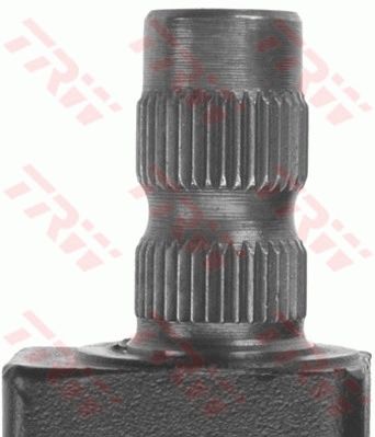 0161JRM442_1.JPG