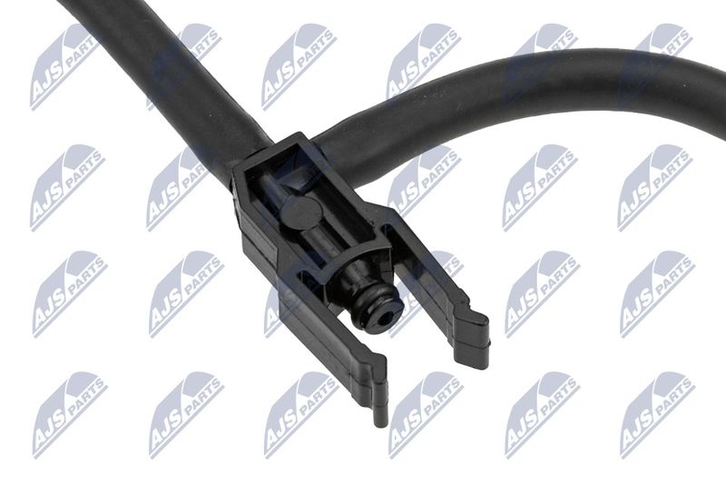 BPP-CT-024_4-WM.JPG