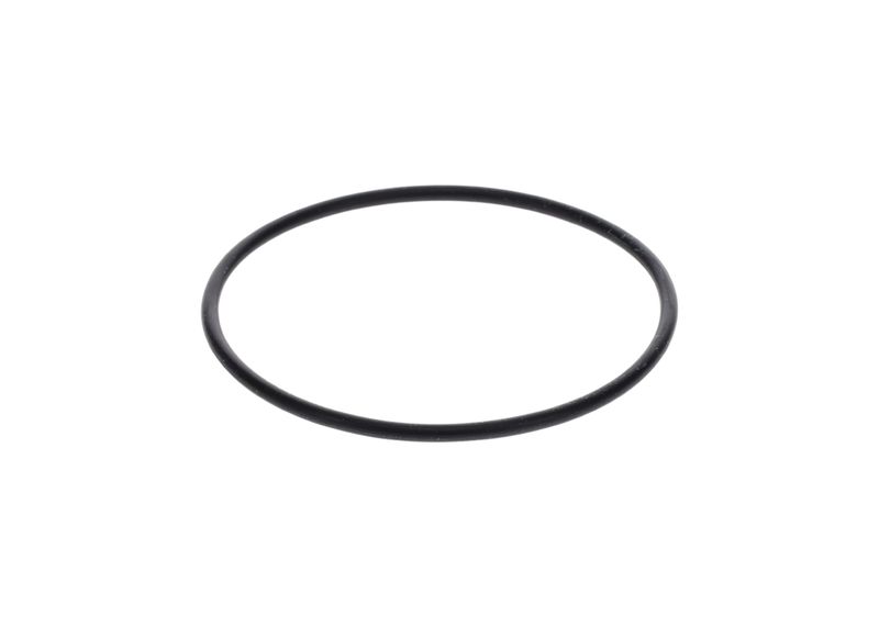 Inel de etansare 1 900 210 154 BOSCH