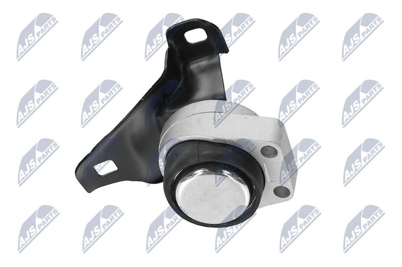 Paigutus, Mootor, NTY ZPS-FR-011