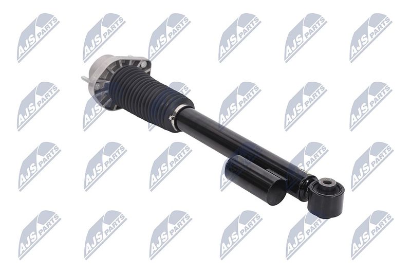Amort, NTY A-LR-019