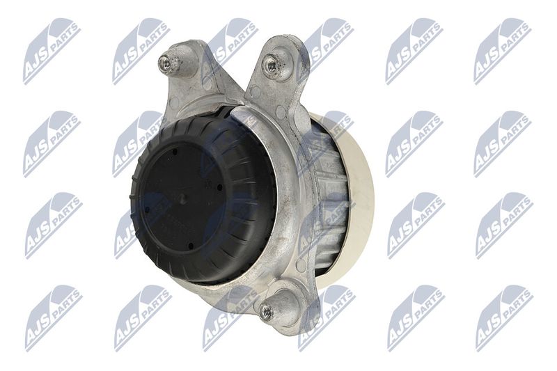 Paigutus, Mootor, NTY ZPS-ME-106