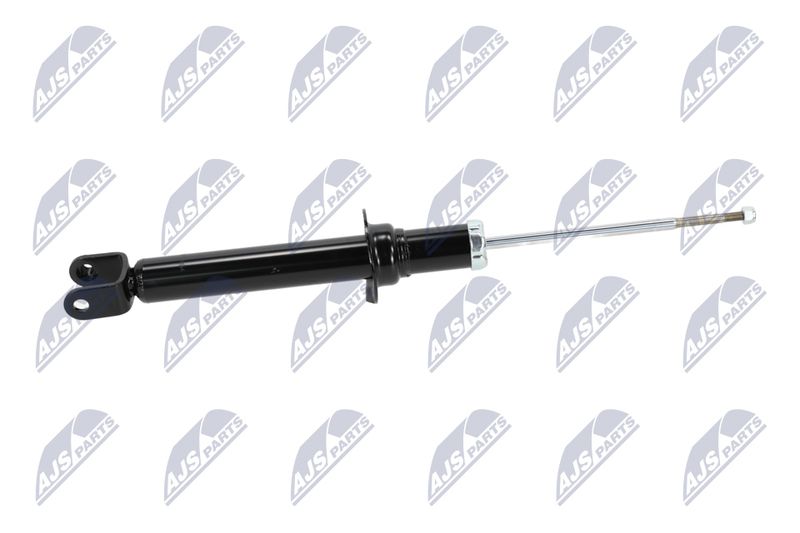 Amort, NTY A-CH-054
