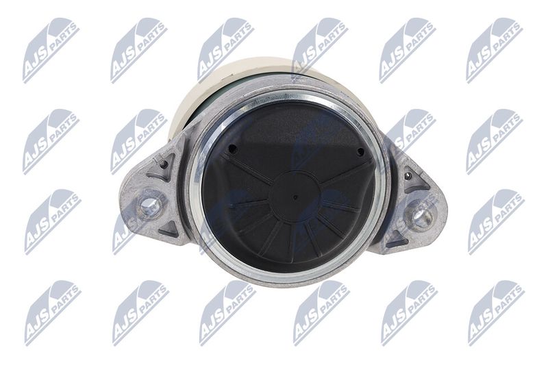 Paigutus, Mootor, NTY ZPS-ME-038