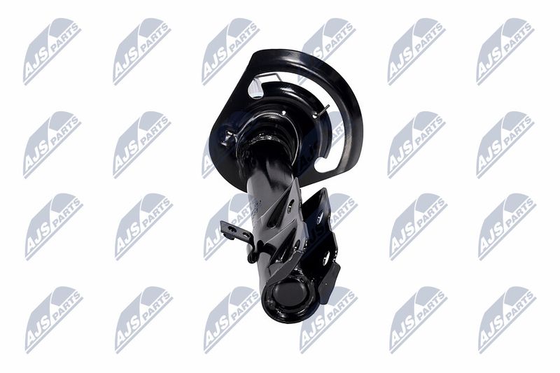 Amort, NTY A-CH-056