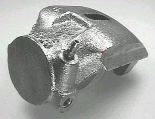 525892.JPG