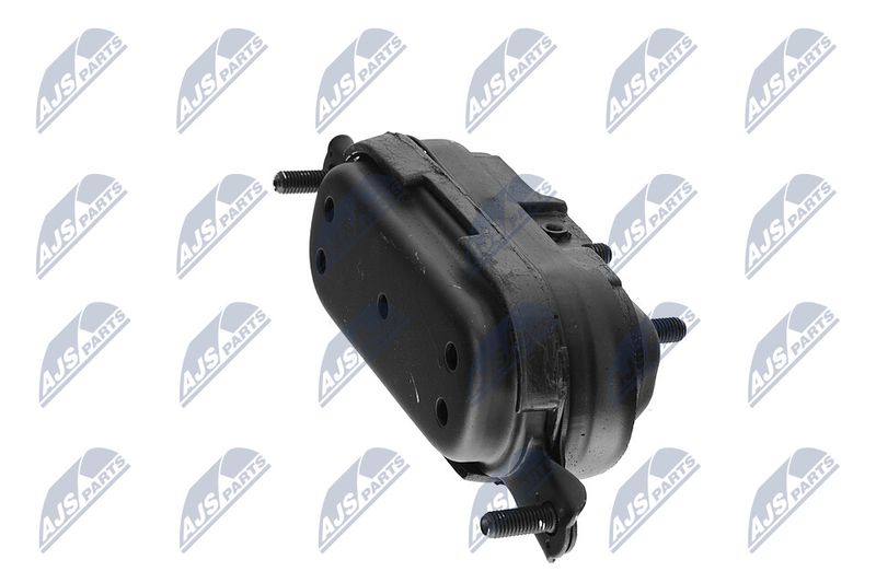 Paigutus, Mootor, NTY ZPS-CH-115