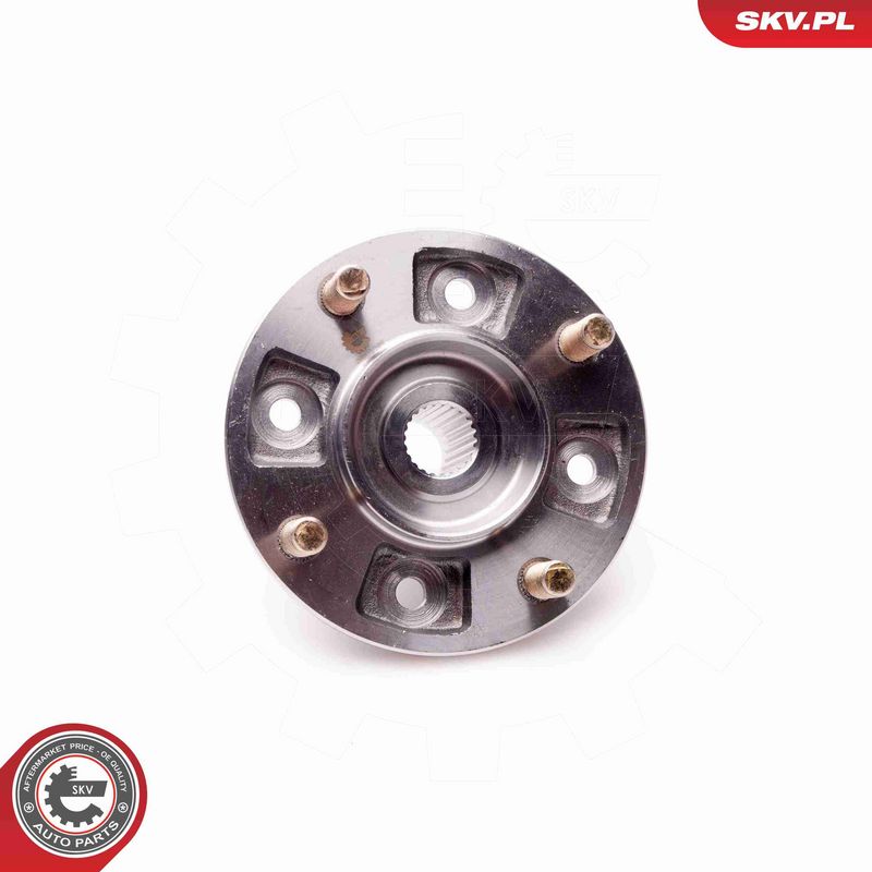 ESEN SKV 29SKV169 Wheel Bearing Kit