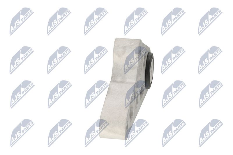 Paigutus, Mootor, NTY ZPS-CH-119