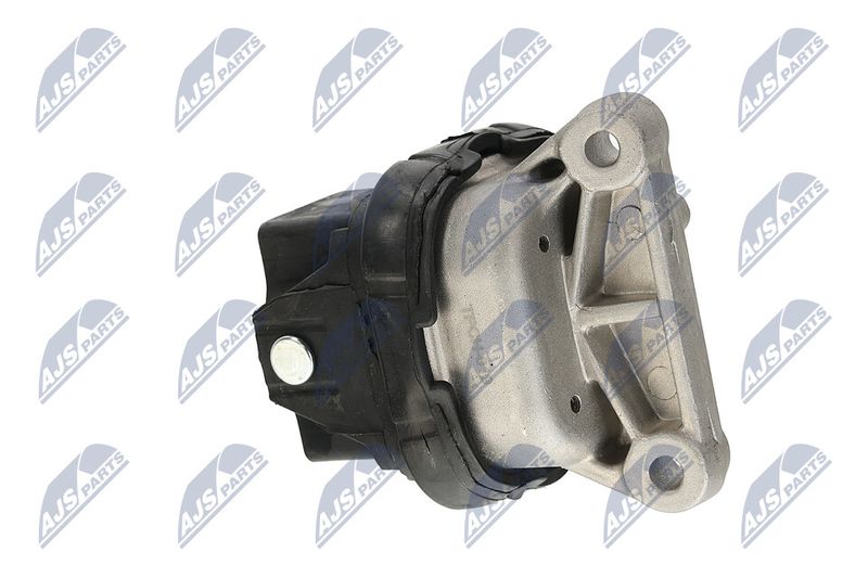 Paigutus, Mootor, NTY ZPS-CH-019