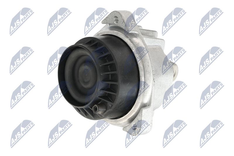 Paigutus, Mootor, NTY ZPS-BM-048