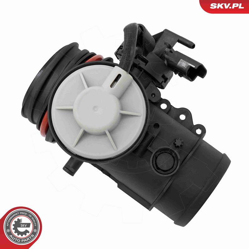 ESEN SKV 14SKV295 EGR Valve