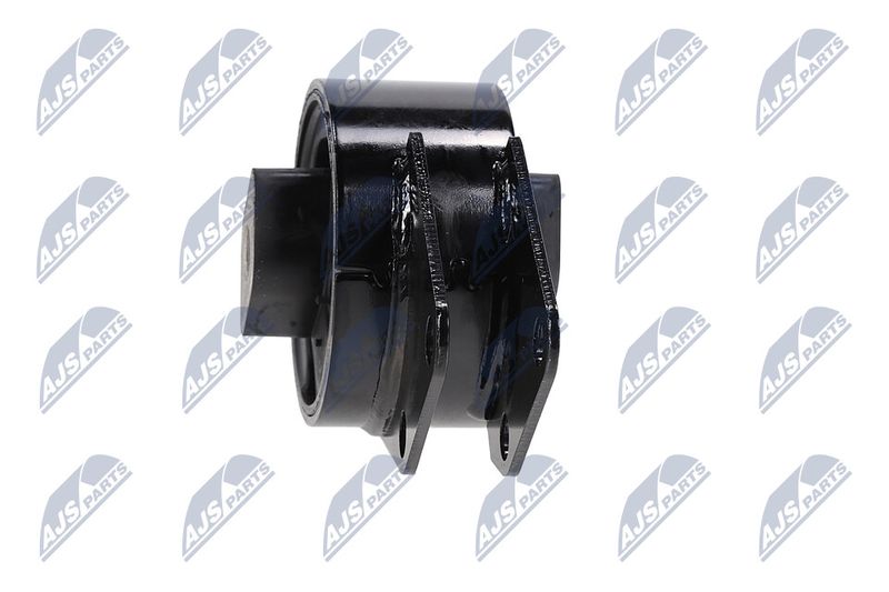 Paigutus, Mootor, NTY ZPS-CH-064