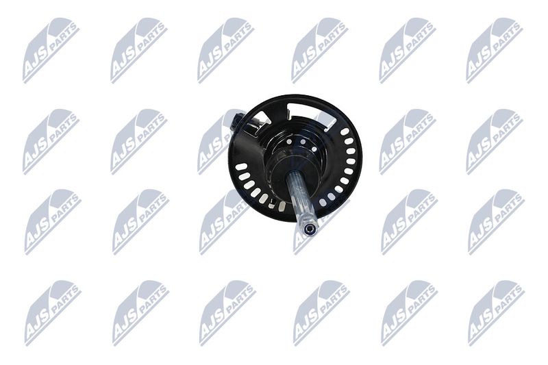 Amort, NTY A-BM-096