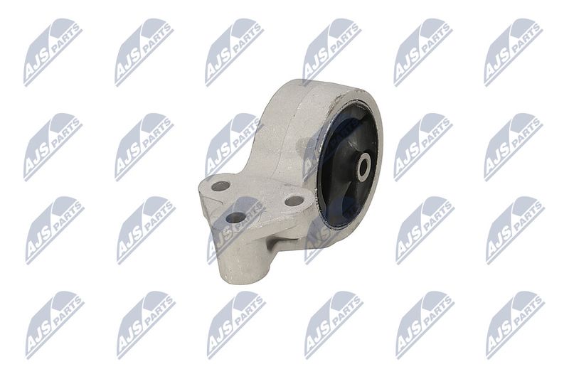 Paigutus, Mootor, NTY ZPS-MS-016