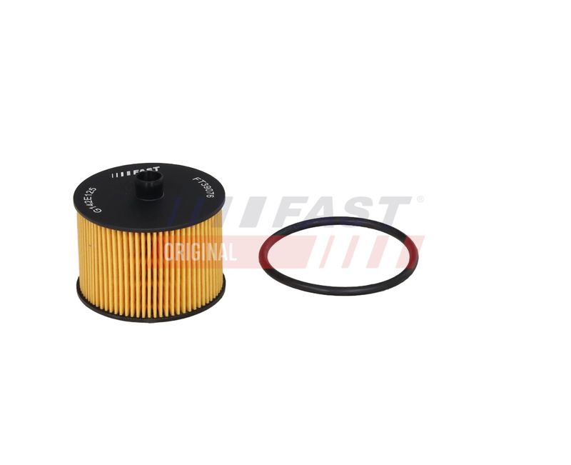 Kütusefilter, FAST FT39076