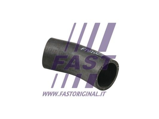 FT61023_2_1.JPG