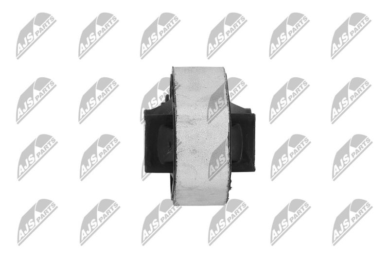 Paigutus, Mootor, NTY ZPS-PE-021