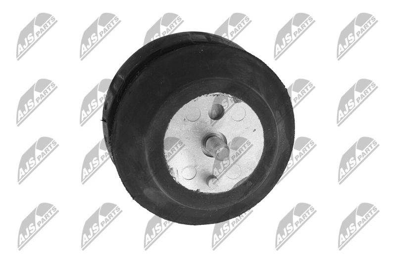 Paigutus, Mootor, NTY ZPS-CH-070