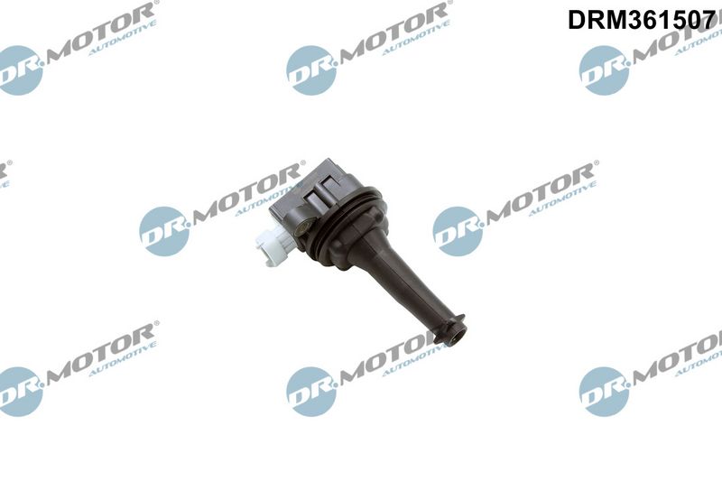 Dr.Motor Automotive Ritė, uždegimas