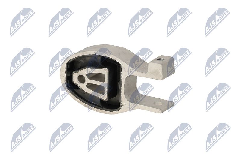 Paigutus, Mootor, NTY ZPS-FR-037