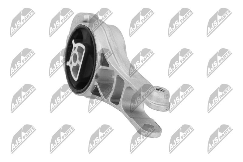 Paigutus, Mootor, NTY ZPS-PL-080