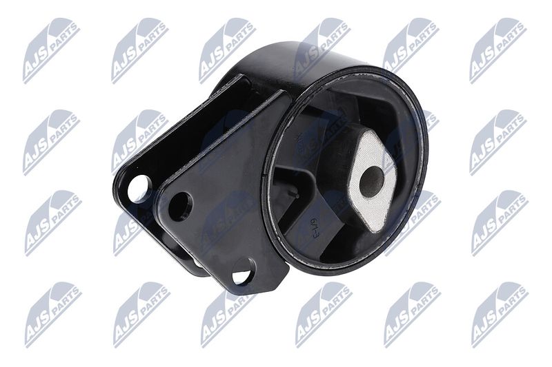 Paigutus, Mootor, NTY ZPS-CH-064