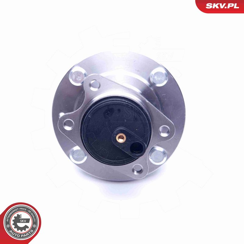 ESEN SKV 29SKV259 Wheel Bearing Kit