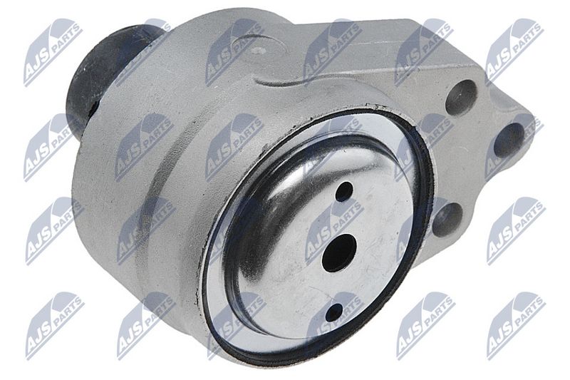 Paigutus, Mootor, NTY ZPS-FR-028