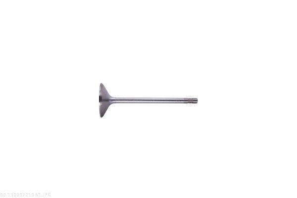 AUTOMEGA 130097010 Intake Valve
