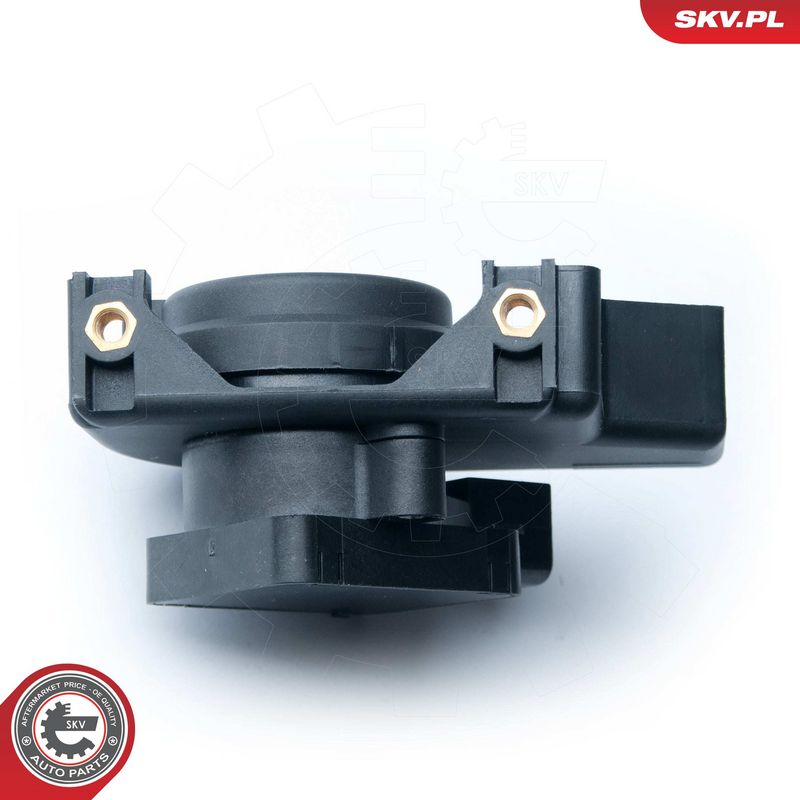 Andur, drosselklapiasend,...