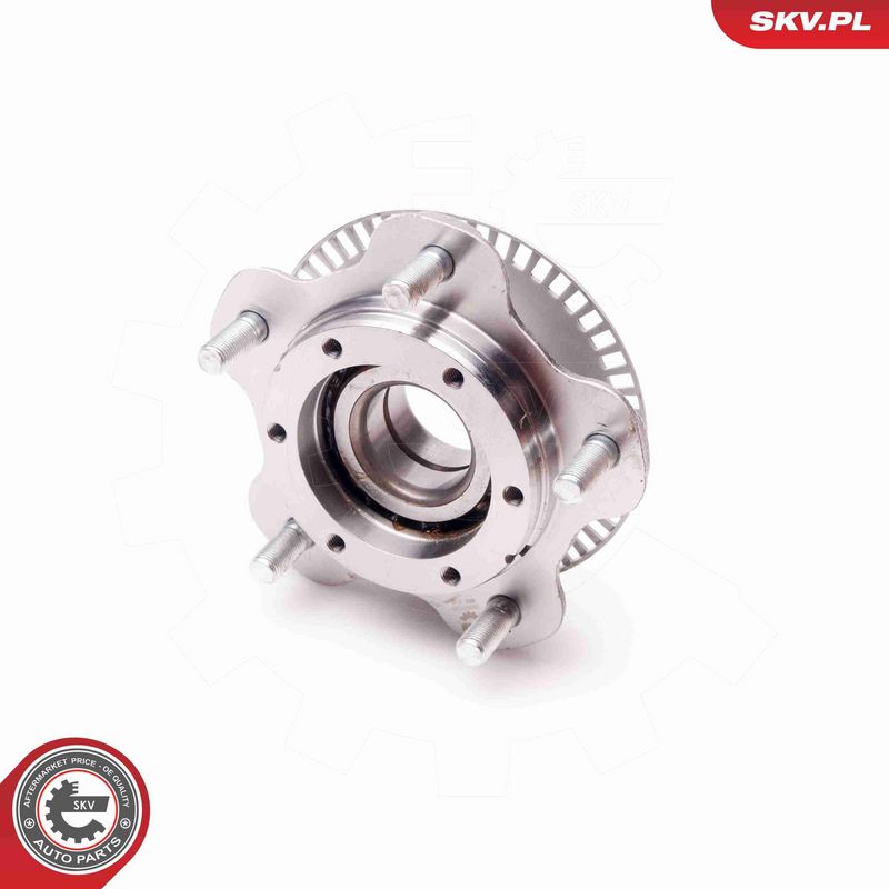 ESEN SKV 29SKV065 Wheel Bearing Kit