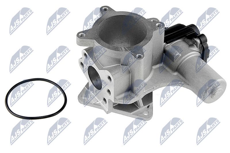 egr-vw-003_1-wm.JPG